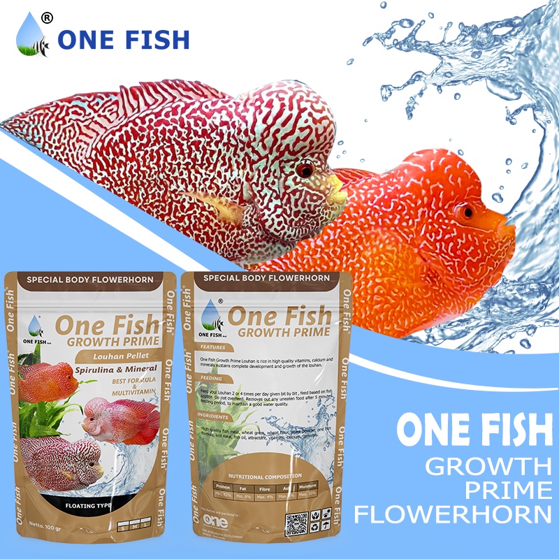 PELLET IKAN LOUHAN GROWTH/BODY PRIME - ONE FISH