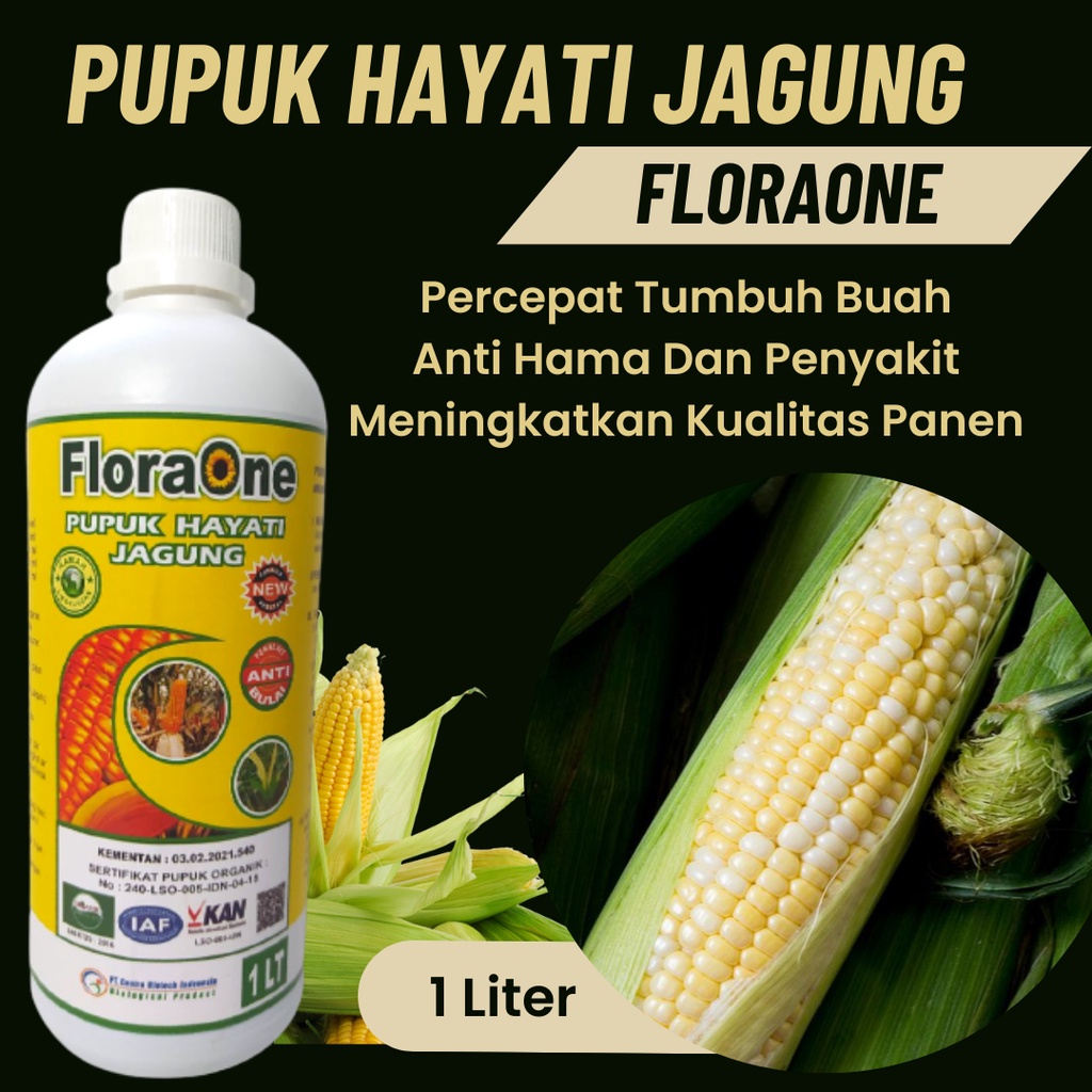 Pupuk Booster Tanaman Jagung, Pupuk Jagung Awal Tanam, Pupuk Hayati Cegah Penyakit Bulai Pada Tanama