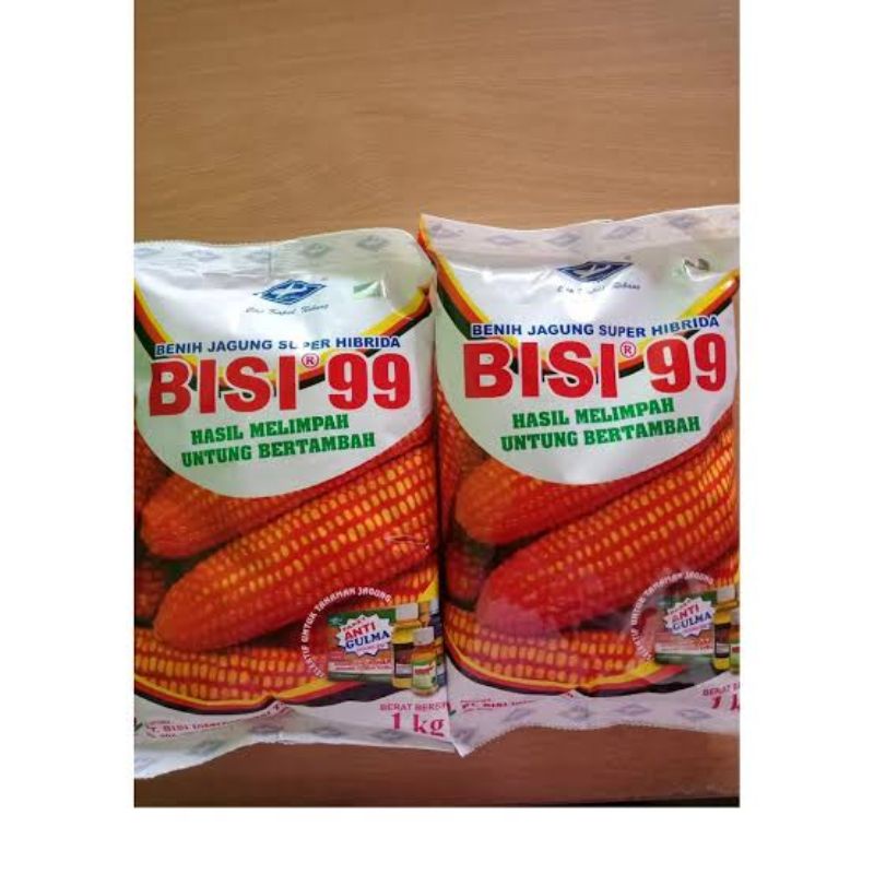 BENIH JAGUNG BISI 99