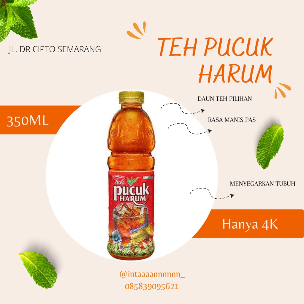 

TEH PUCUK HARUM 350ML