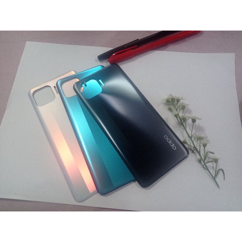 BACKDOOR BACK CASING RENO 4F