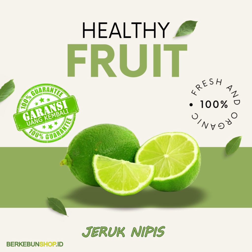 Bibit Jeruk Nipis Sudah berbuah