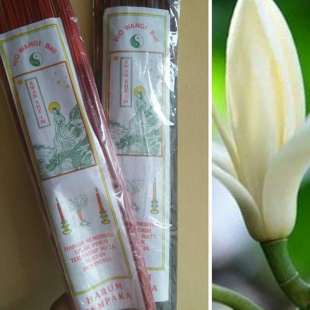 Terbaru Hio Bali Dupa Kantil Cempaka Bali Wangi Nature