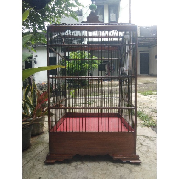 sangkar kosan 40x40