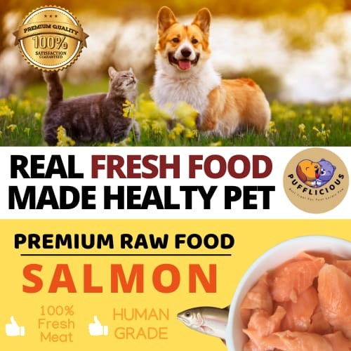 RAW FOOD PREMIUM SALMON