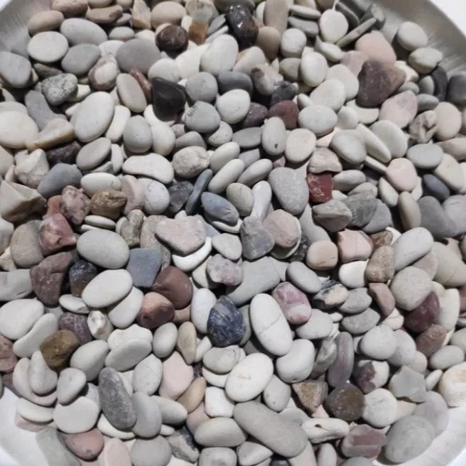 (1 Karung ) Batu Hias 10kg Koral Pancawarna Coral Putih Italy untuk hiasan pot tanaman hias kolam aq