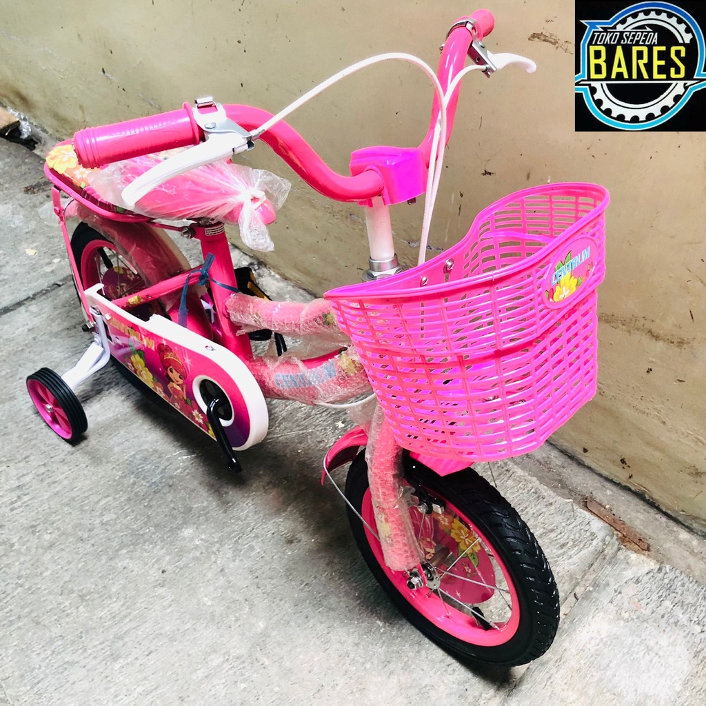 Sepeda Mini Anak 12 / 16 / 18 Centrum 206-1
