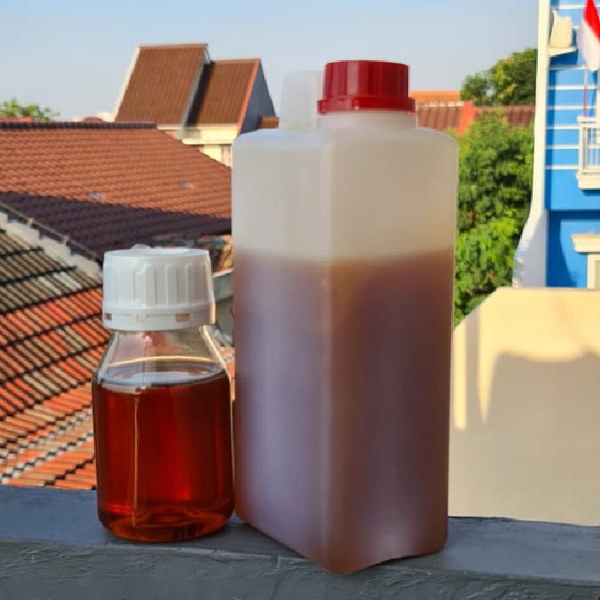 

BIG SALE MADU KALIMANTAN CURAH 1KG ORIGINAL