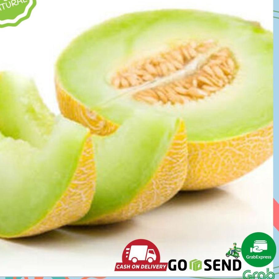 

BISA COD ✔️BUAH MELON MADU|KD5