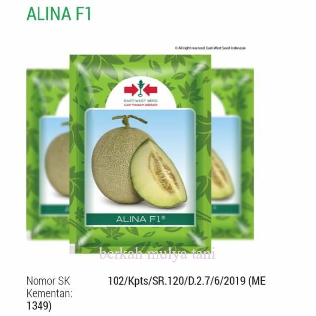 Benih melon ALINA F1 500butir