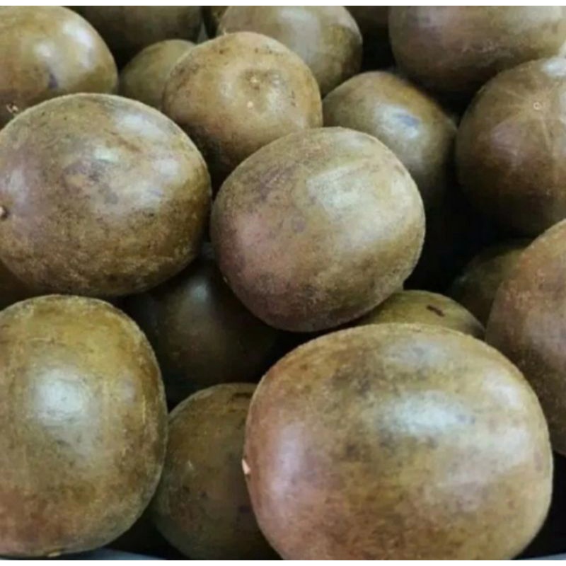 

Lo han kuo buah - Lo han ko