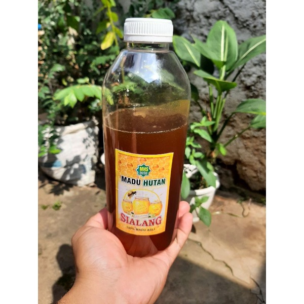 

Madu Hutan Murni Sialang