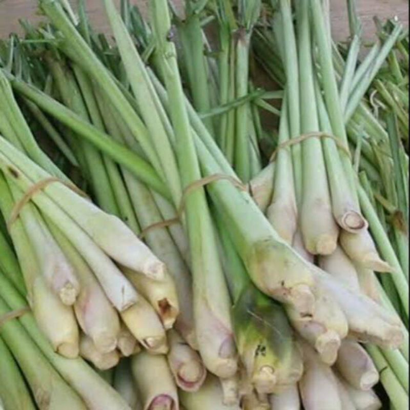 

batang dan daun sereh fresh 250 gr