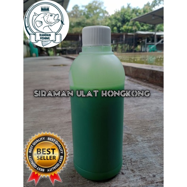 galatama lele siraman ulat hongkong