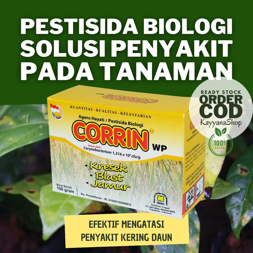 Corrin 100 Gram Pestisida Biologi Mengatasi Hama Kresek Blast Hawar Daun Pada Tanaman Padi Jagung / 