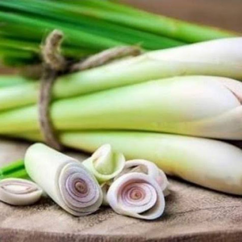 

Batang sereh sayur