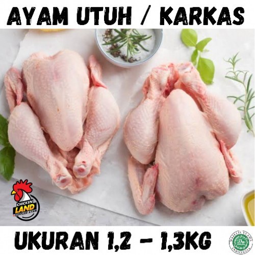 

AYAM KARKAS BROILER Ukuran 1,2 - 1,3Kg