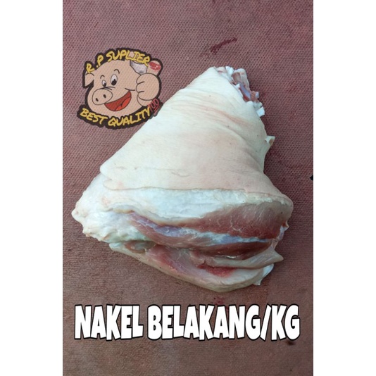 

NAKEL BELAKANG.1.5