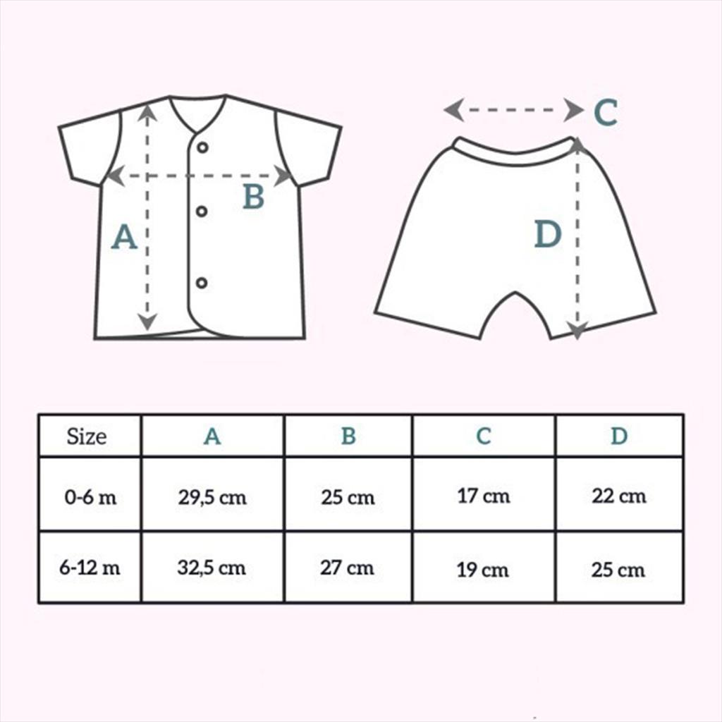 Paper Plane Little Palmerhaus  Little Wear Short Sleeve