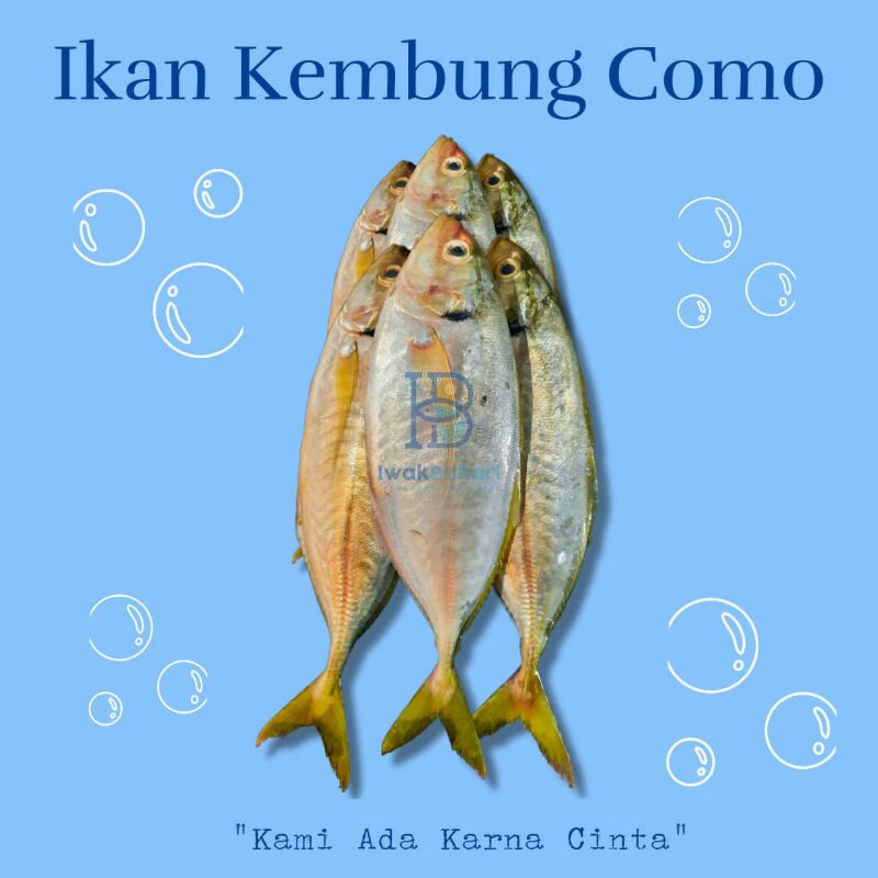 

Ikan Kembung Como
