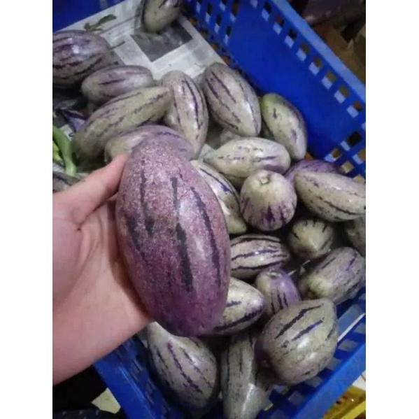 

buah pepino fresh 250 gram