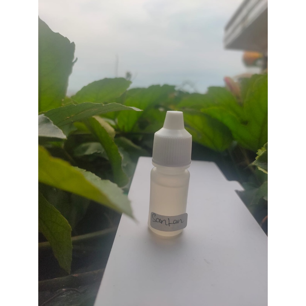 BIANG ESSEN MURNI SANTAN 5ML