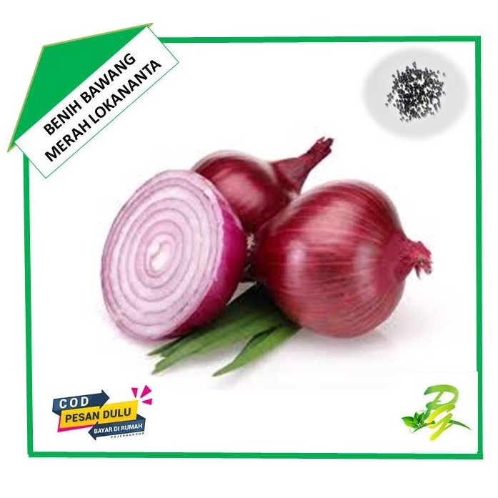 Benih Bawang Merah Lokananta-Isi 100 Biji