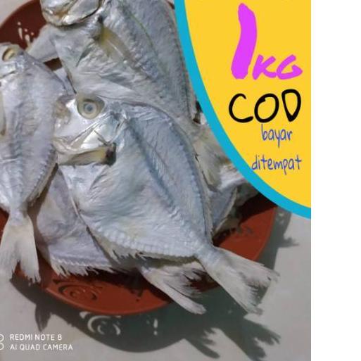 

COD✔️Ikan asin petek besar 1kg|KD2