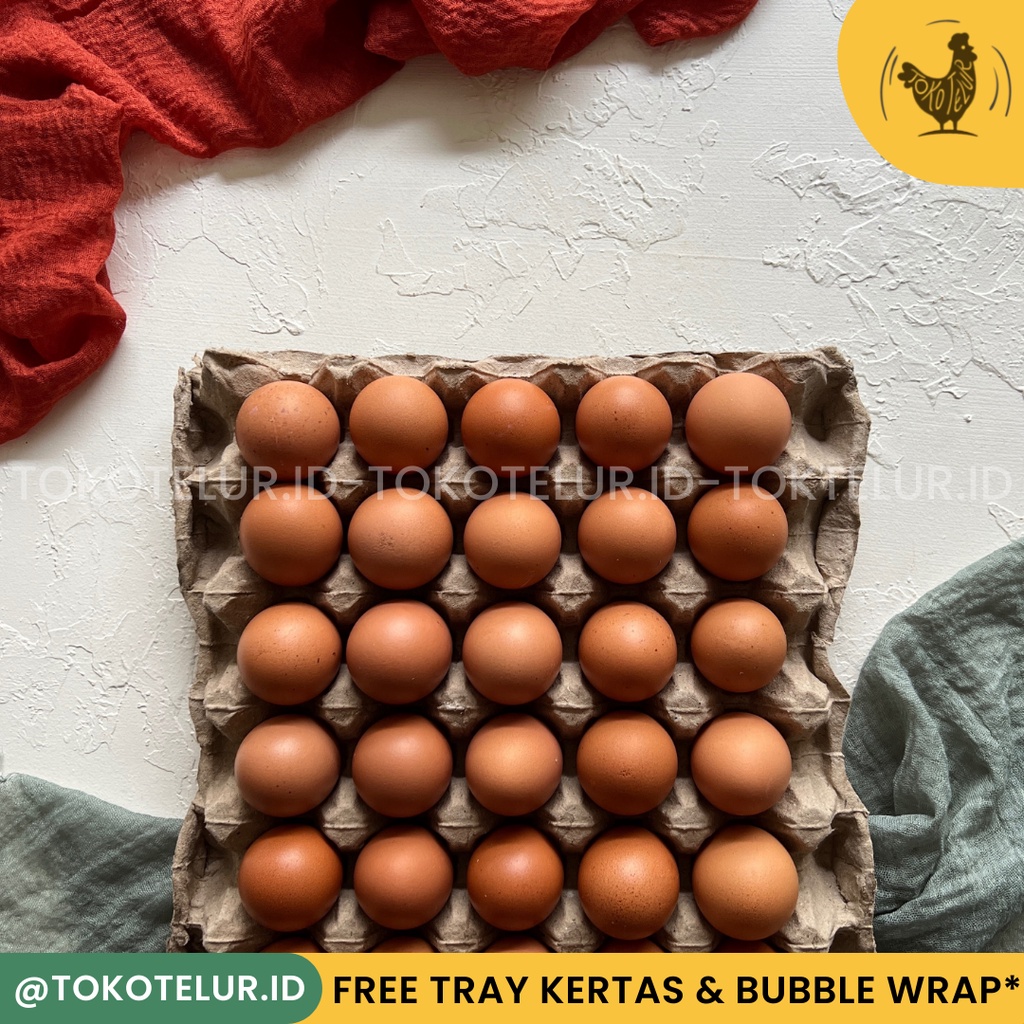 Telur Ayam Negeri Premium Pilihan (30 Butir) 1 Tray - FRESH/Segar