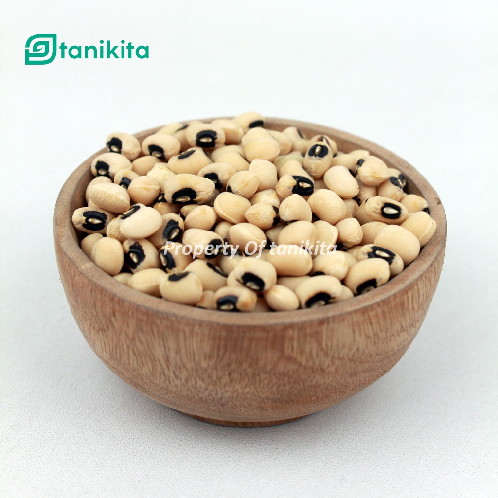 

Kacang Tolo Atau Kacang Otok 1Kg