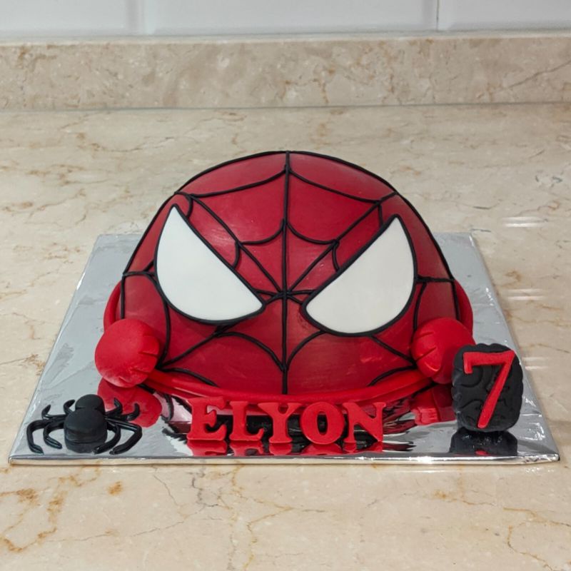 

Pinata Smash Cake Spider Man