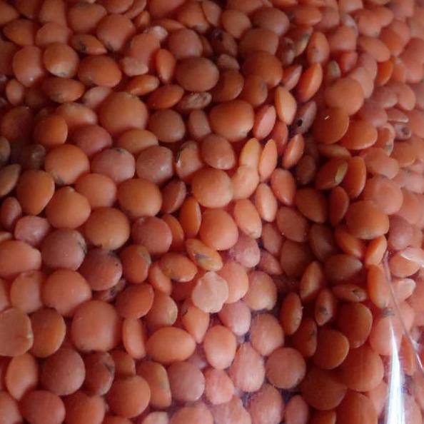 

id3j3Ix--Adas merah/lentil merah/red lentil