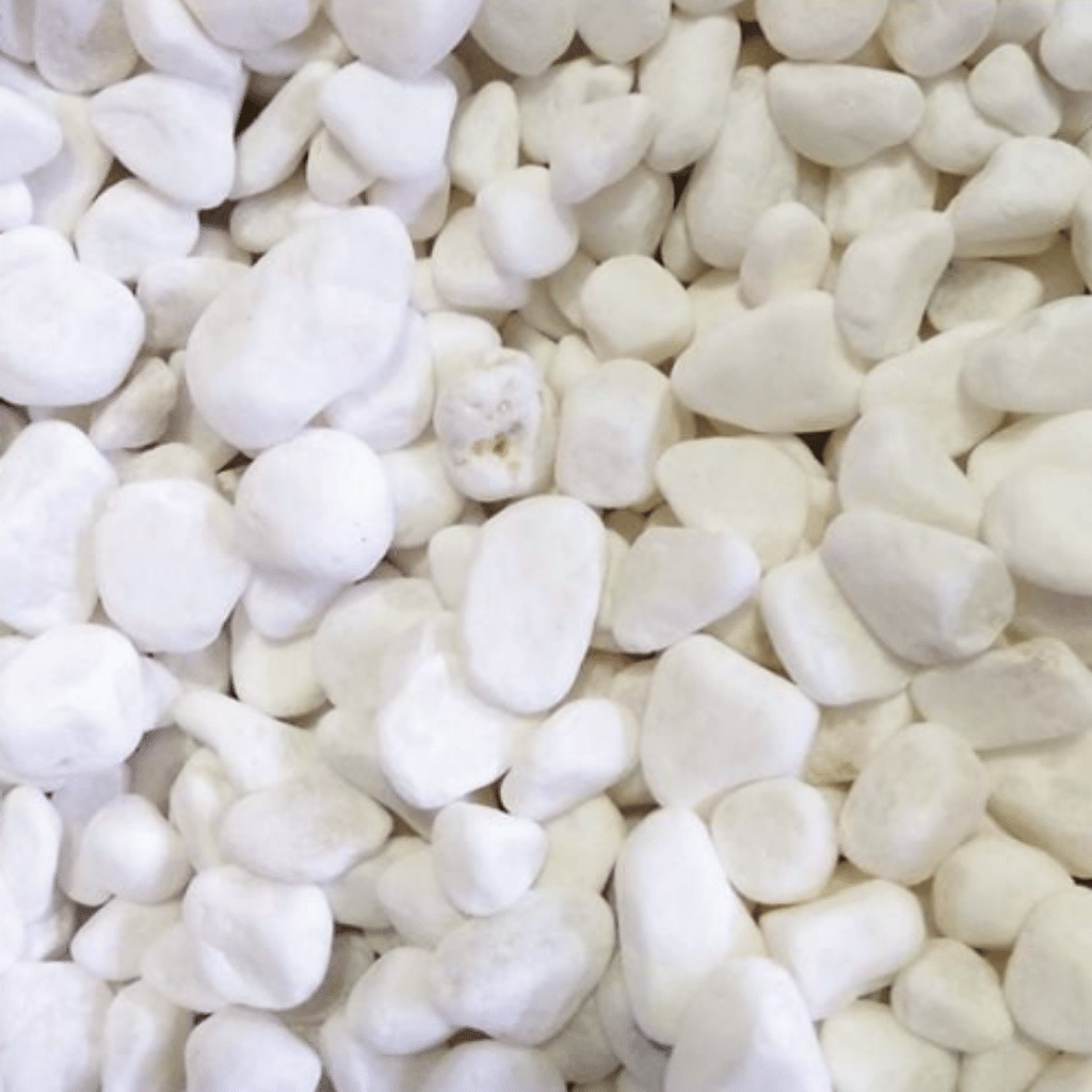 Batu Italy 500gr Batu Itali Hias Coral Koral Putih Aquarium Aquascape 500 Gram