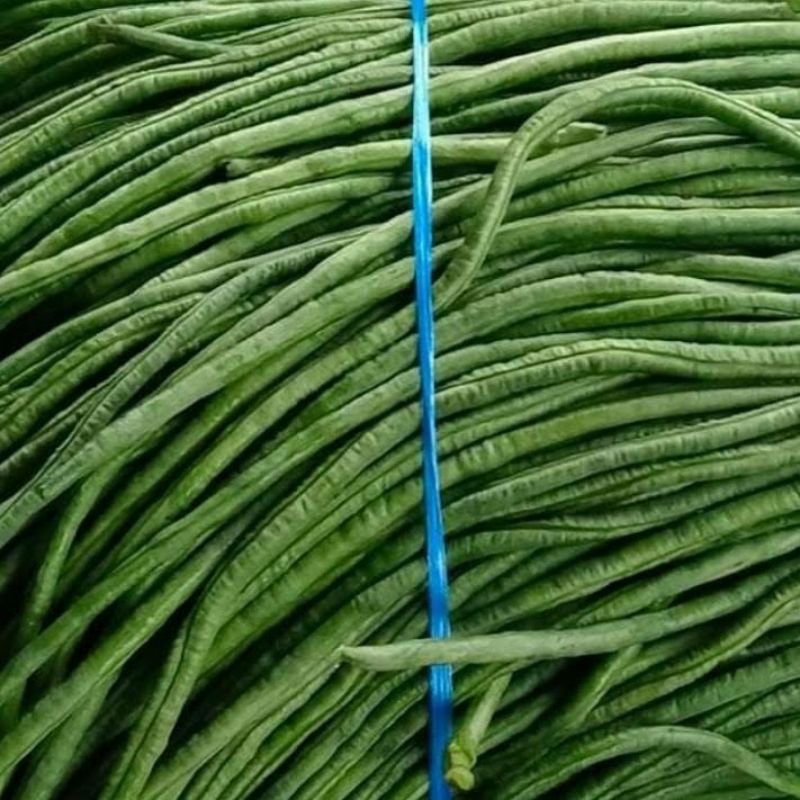 

kacang panjang 1 kg