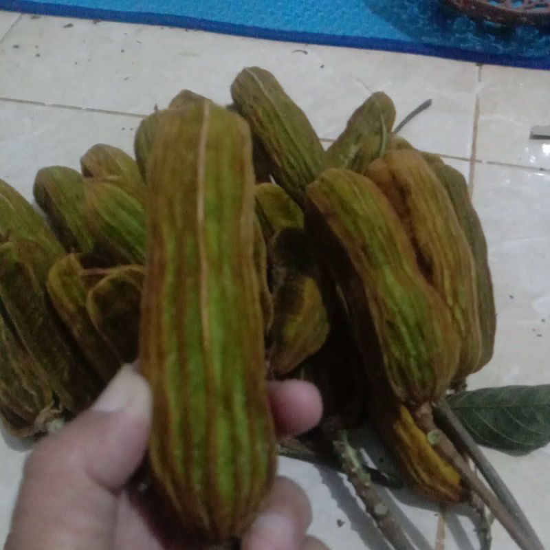 

buah saljuuuu fresh khusus ukuran besar/(premium)