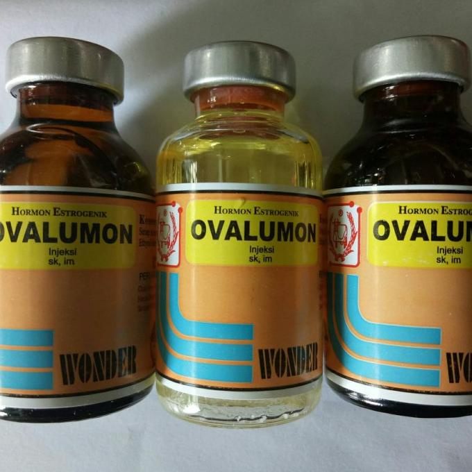 

[BISA COD] Ovalumon