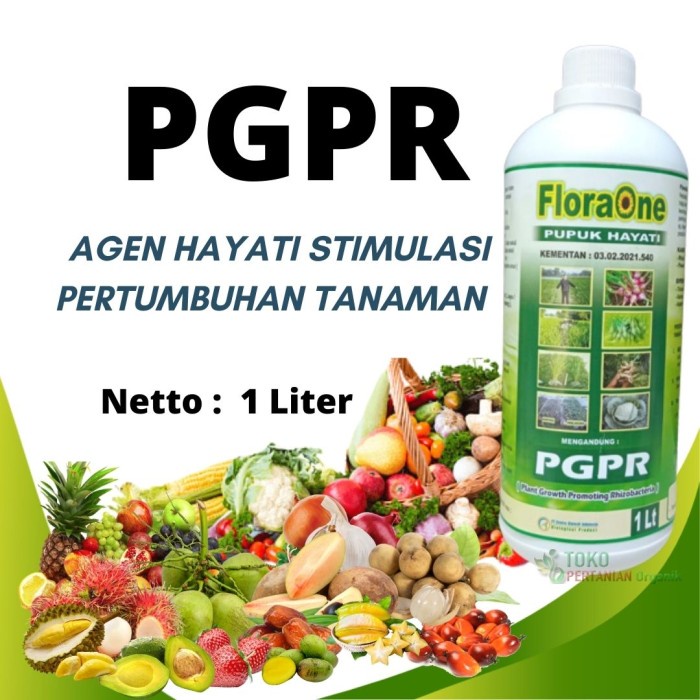 Paling Laris Pupuk PGPR, pupuk hayati cair, Pupuk Tricoderma Harzianum &h=