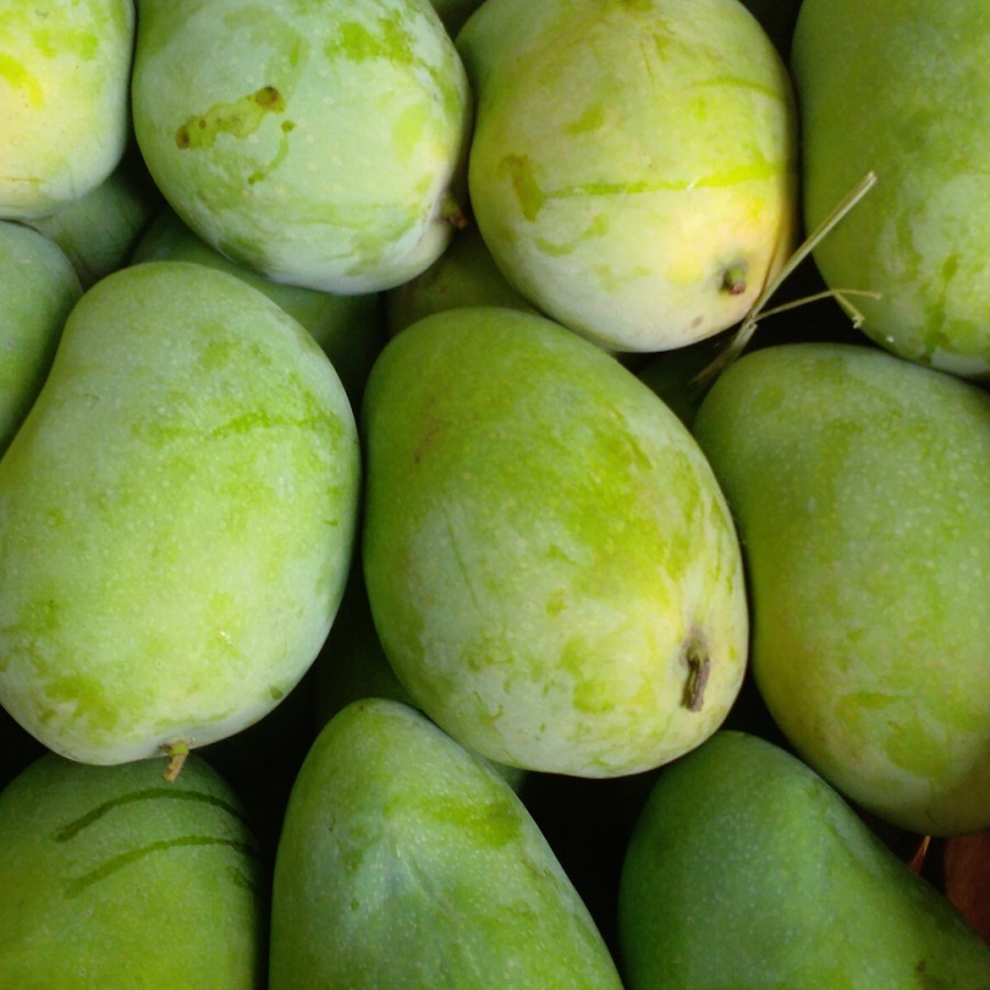 

Promo Mangga Harum Manis Harummanis 1 Kg Dijamin Fresh Siap Kirim dan Melayani Partai besar