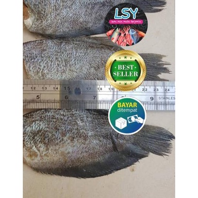 

FREE ONGKIR!ikan asin sepat siam / gurami import kualitas no 1 500 GRAM|RA8