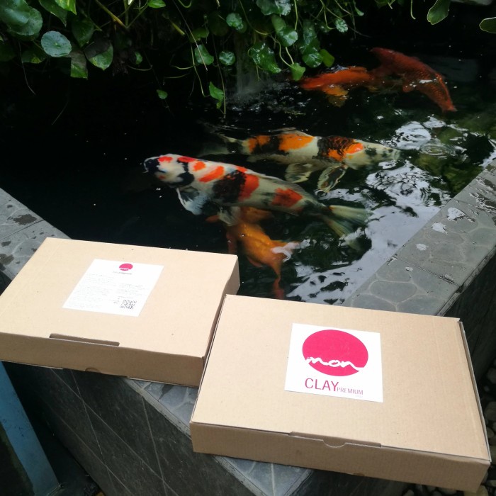 Clay Premium - Penjernih kolam koi / Bakteri Starter / mineral