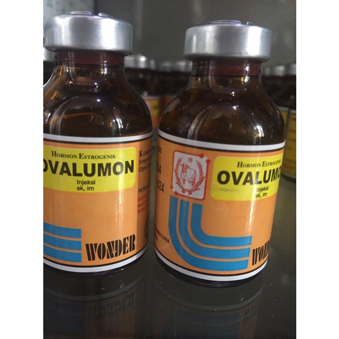 

[BISA COD] Ovalumon 20 ml