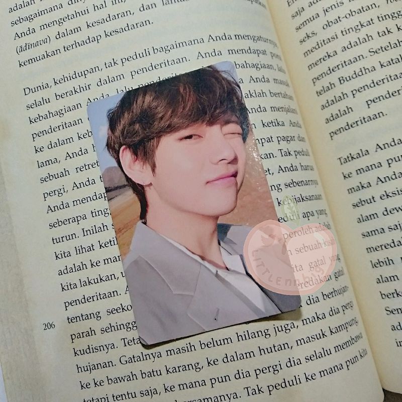 Photocard PC BTS Album LY TEAR Y U TAEHYUNG JIN