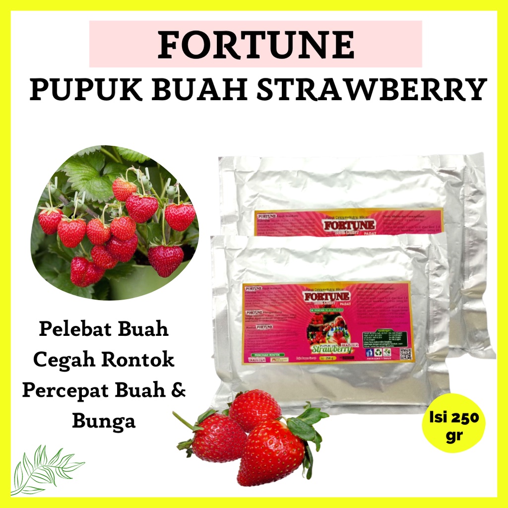 Pupuk Buah Strawberry Cepat Berbuah, Pupuk Strawberry Agar Berbuah Besar, Pupuk Tanaman Strawberry A