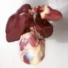 

Jeroan Ayam Utuh Sudah Dibersihkan 2 pcs/ Rempelo Ayam Utuh SUdah Dibersihkan 4 pcs