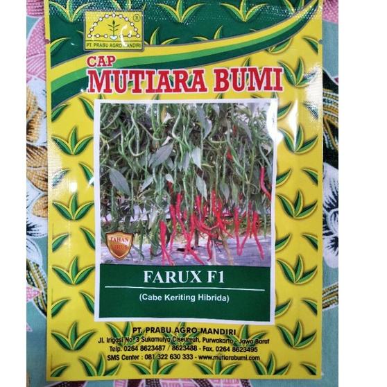 MAN.18Oc22q • Benih Cabe Merah Keriting FARUX F1 Kemasan 10 Gram - CMK FARUX F1 - Bibit Cabe FARUX