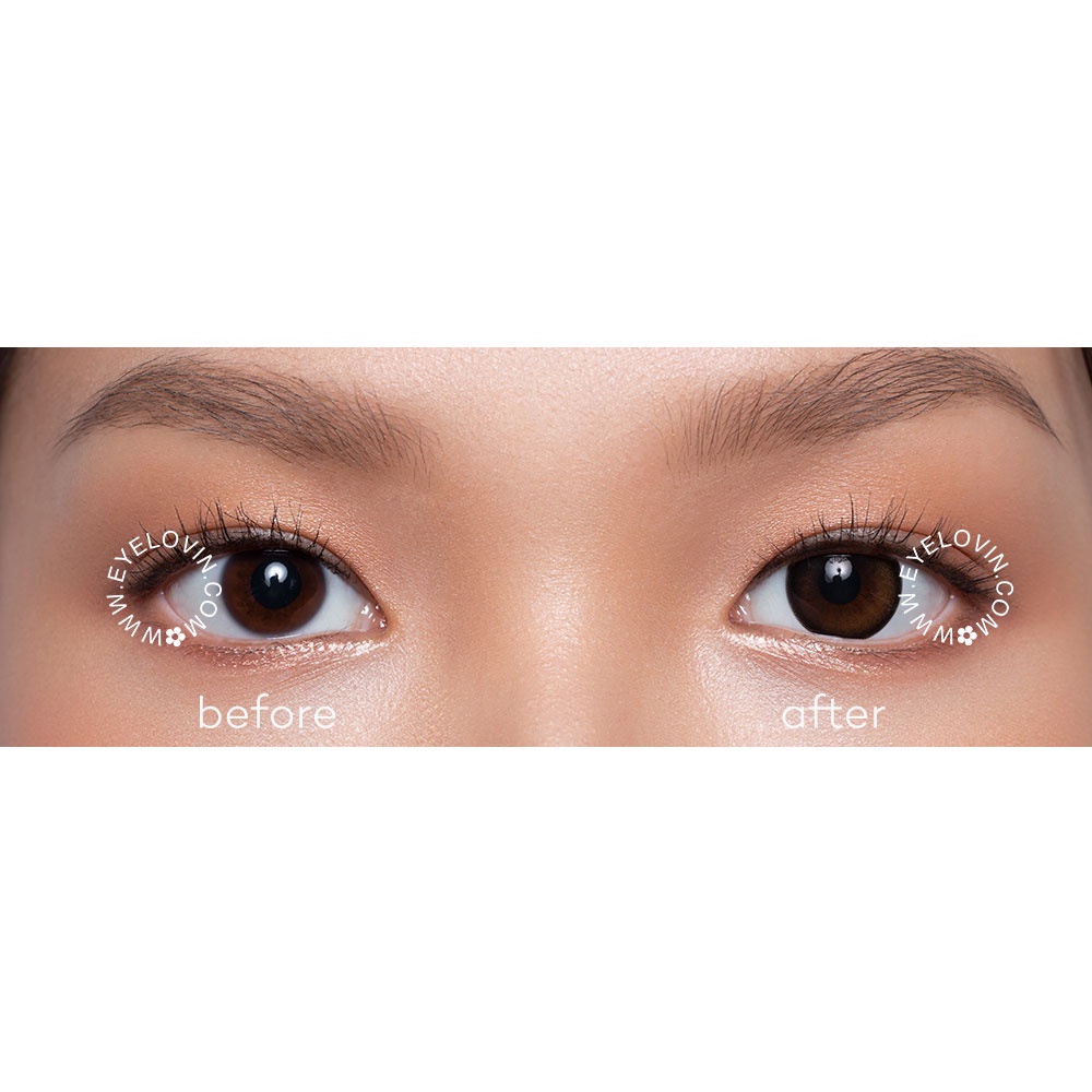 Eyelovin Softlens Mite Clair Pure Moist - Selene Brown