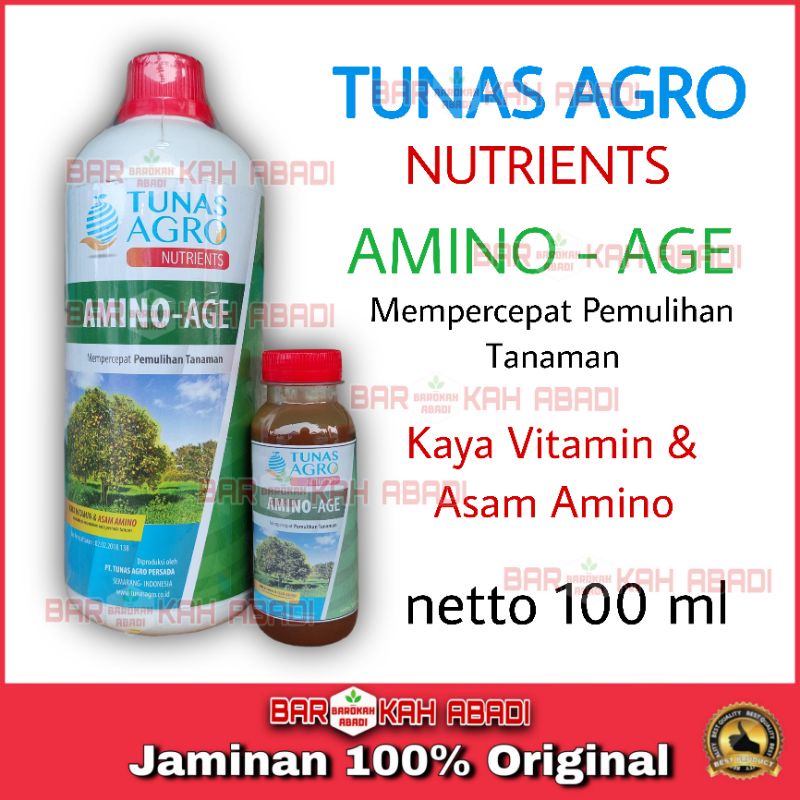 Asam Amino Amino Age Nutrients Pupuk Kaya Vitamin dan Asam Amino