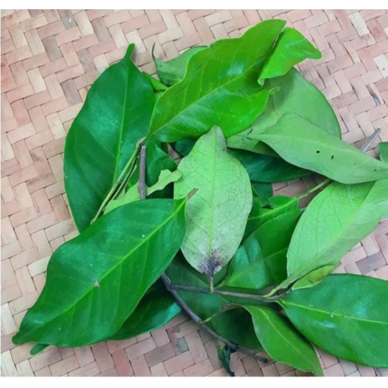 

DAUN SALAM SEGAR 500 GRAM