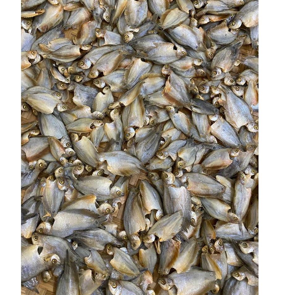 

10.10 Flash Sale Ikan Sepat Kecil / Sepat Tawar 500gram !!!