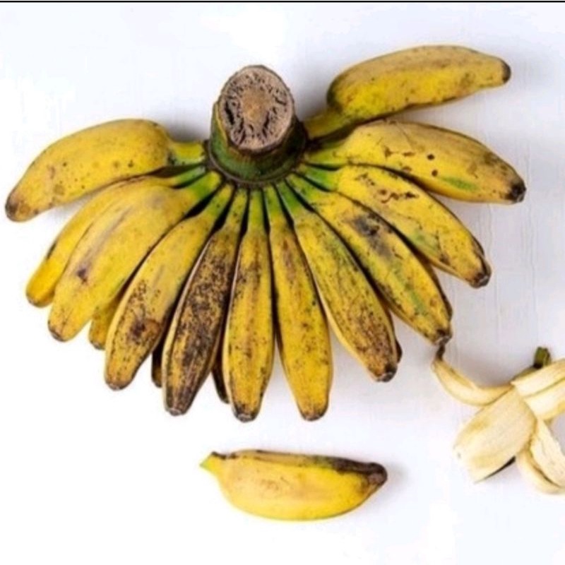 

Pisang Kepok / Pisang Kapokan 1 Sisir